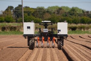Picture of ROBOTTI 150D - Seeding parsnips3
