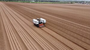 Picture of ROBOTTI 150D - Seeding parsnips1
