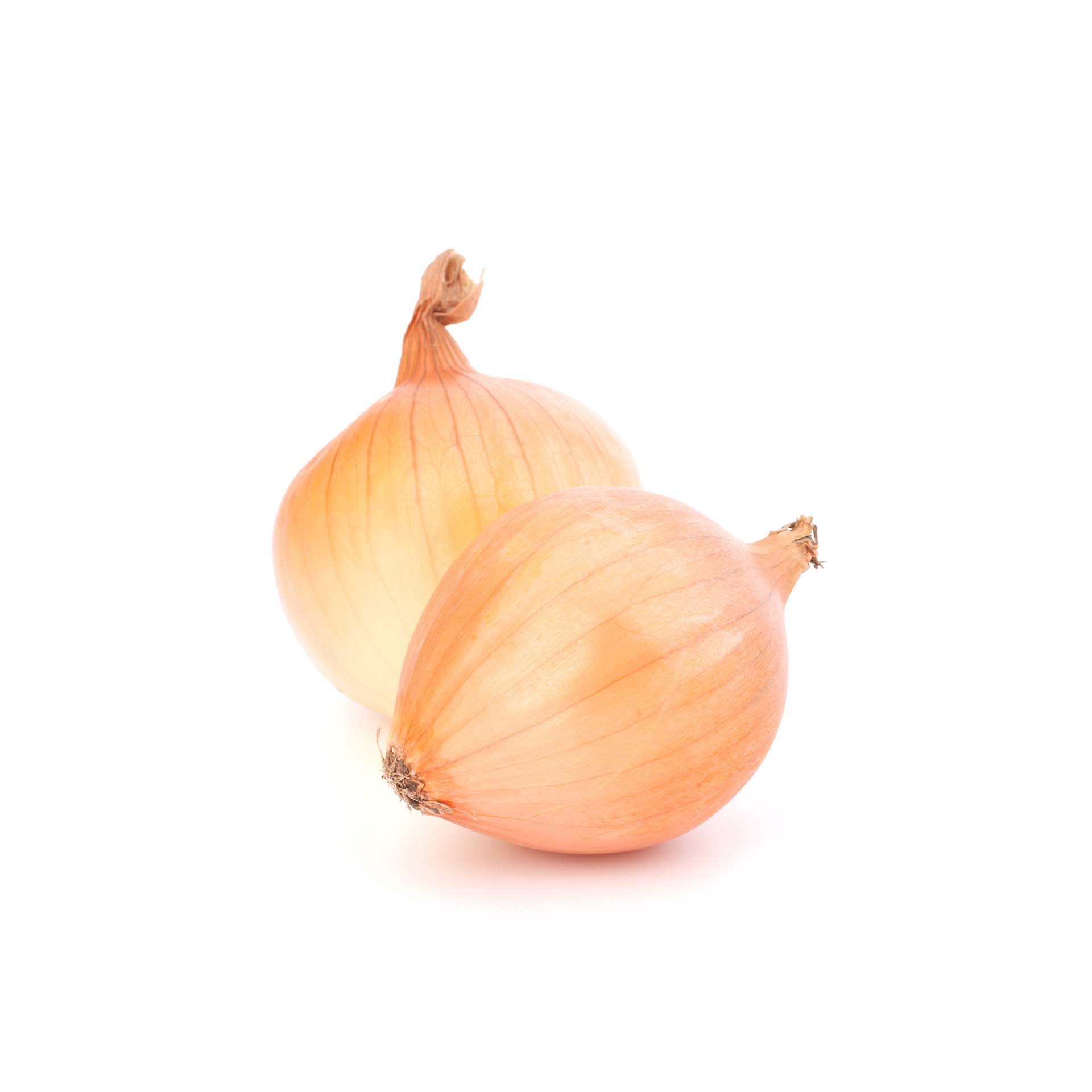 Picture pf onions