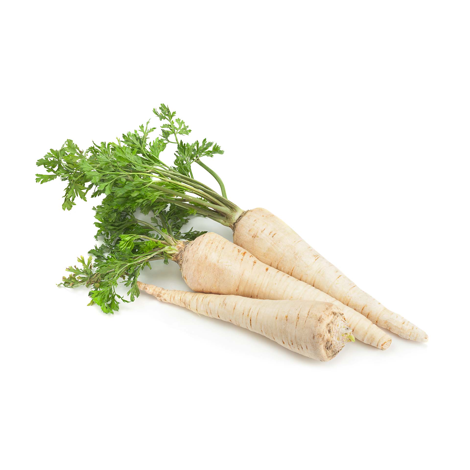 Picture of parsnips