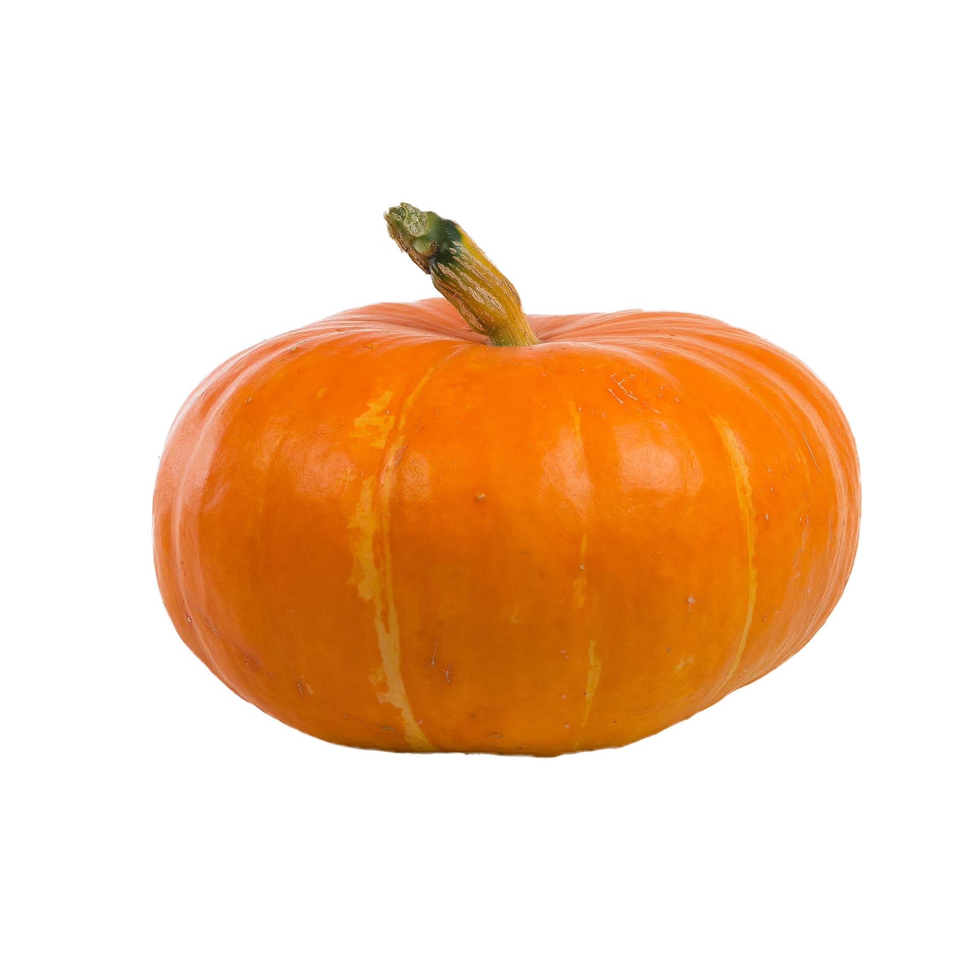 Picture of pumpkin